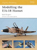 bokomslag Modelling the F/A-18 Hornet
