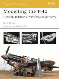 bokomslag Modelling the P-40