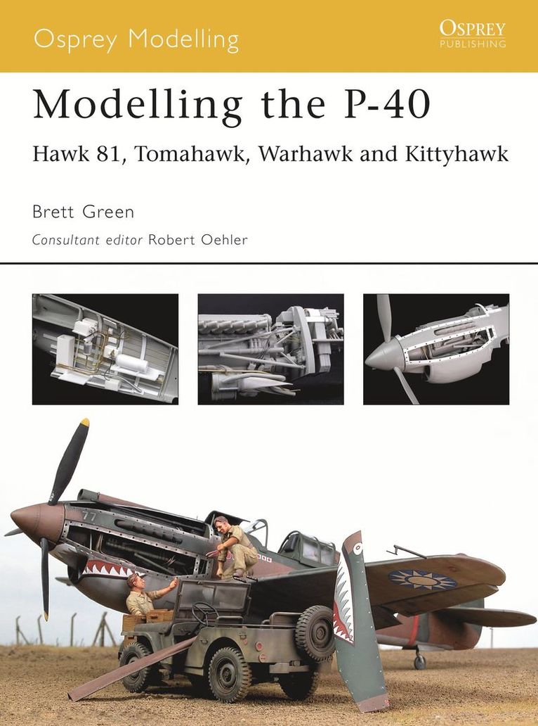 Brett Green, Robert Oehler - Modelling the P-40, Häftad
