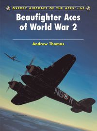 bokomslag Beaufighter Aces of World War 2