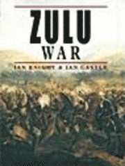 bokomslag Zulu War