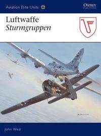 bokomslag Luftwaffe Sturmgruppen