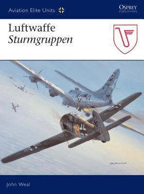 bokomslag Luftwaffe Sturmgruppen
