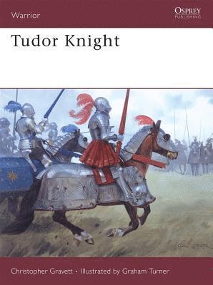 bokomslag Tudor Knight