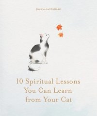 bokomslag 10 Spiritual Lessons You Can Learn from Your Cat