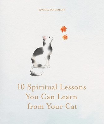 bokomslag 10 Spiritual Lessons You Can Learn from Your Cat