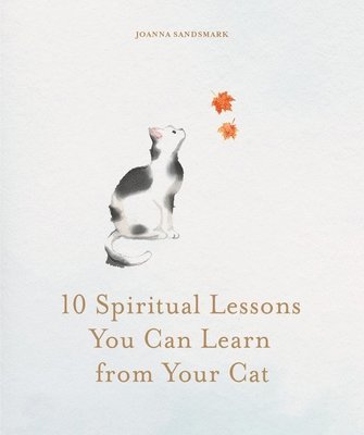 Joanna Sandsmark - 10 Spiritual Lessons You Can Learn from Your Cat, Inbunden