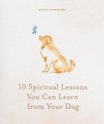 Joanna Sandsmark - 10 Spiritual Lessons You Can Learn from Your Dog, Inbunden