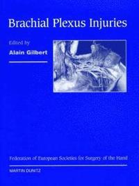 bokomslag Brachial Plexus Injuries