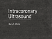 Intracoronary Ultrasound 1