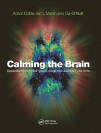 bokomslag Calming the Brain