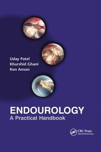 bokomslag Endourology