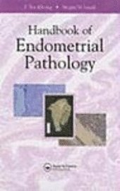 bokomslag Handbook of Endometrial Pathology