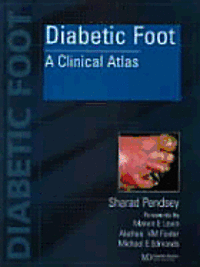 bokomslag Diabetic Foot