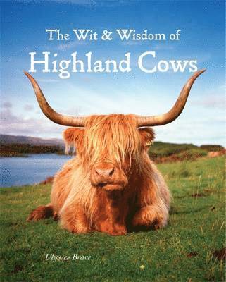 bokomslag Wit & Wisdom of Highland Cows