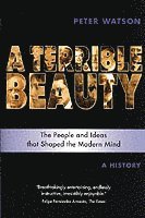 Terrible Beauty: A Cultural History of the Twentieth Century 1