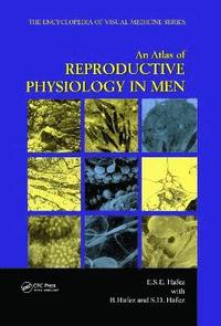 bokomslag An Atlas of Reproductive Physiology in Men