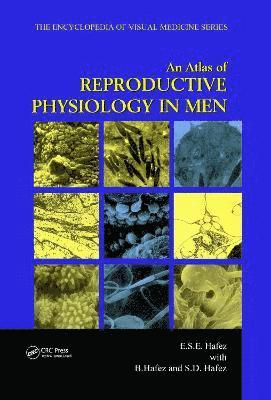 An Atlas of Reproductive Physiology in Men 1