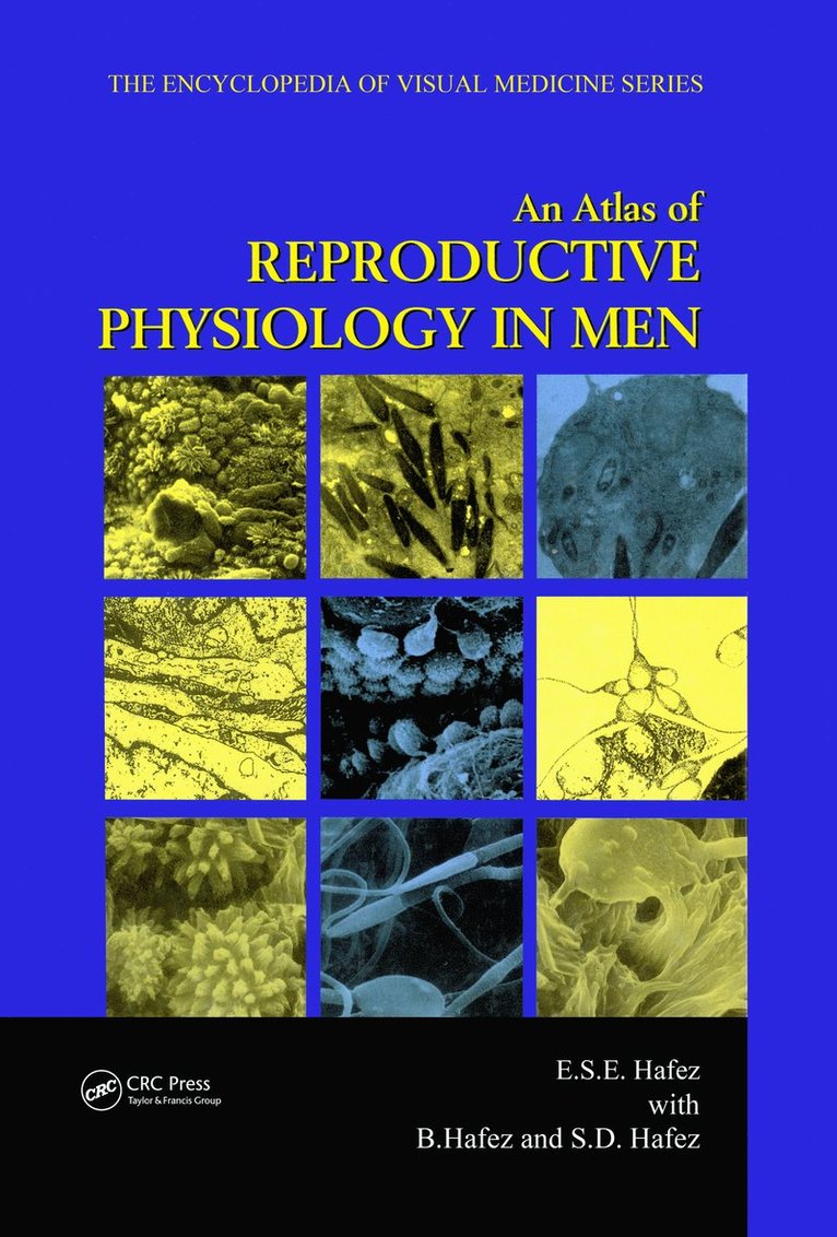 B. Hafez, S.E. Hafez, Saad Dean Hafez, S. E. Hafez - Atlas of Reproductive Physiology in Men, Inbunden