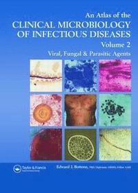 bokomslag Atlas of the Clinical Microbiology of Infectious Diseases