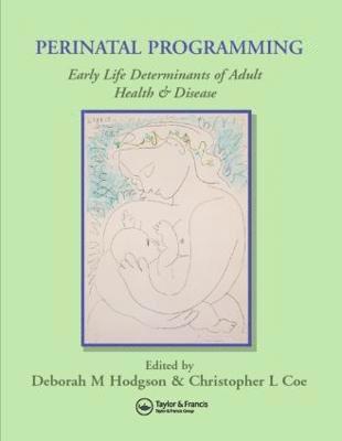 bokomslag Perinatal Programming