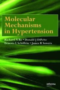 bokomslag Molecular Mechanisms in Hypertension