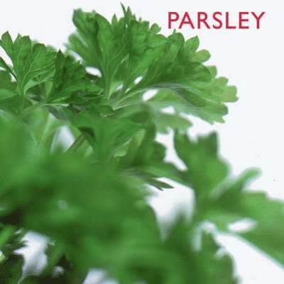 Southwater - Parsley, Häftad