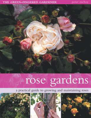 Peter McHoy - Rose Gardens, Häftad