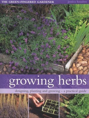 Jessica Houdret - Growing Herbs, Häftad