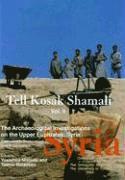 bokomslag Tell Kosak Shamali Vol II