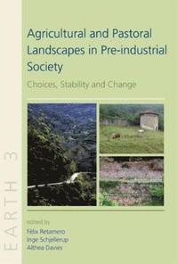 bokomslag Agricultural and Pastoral Landscapes in Pre-Industrial Society