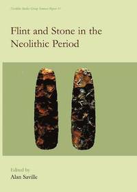 bokomslag Flint and Stone in the Neolithic Period