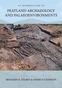 bokomslag Somerset's Peatland Archaeology