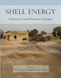 bokomslag Shell Energy