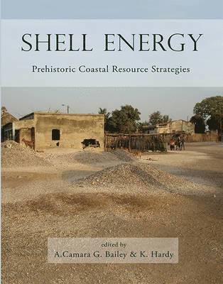 Shell Energy 1