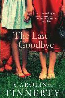 The Last Goodbye 1