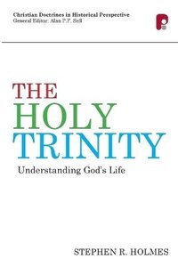 bokomslag The Holy Trinity: Understanding God's Life