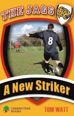 bokomslag New Striker