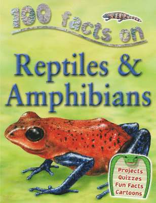 Ann Kay, Belinda Gallagher - 100 Facts Reptiles and Amphibians, Häftad