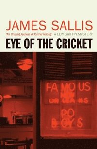 bokomslag Eye of the Cricket