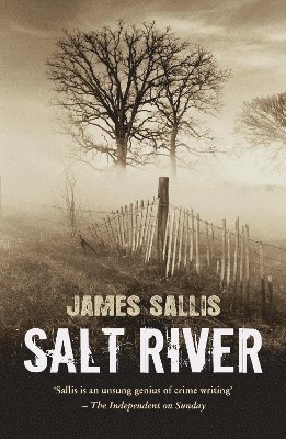bokomslag Salt River