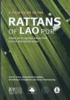 bokomslag Field Guide to the Rattans of Lao PDR, A