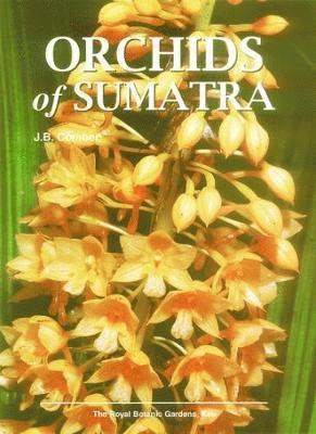 Orchids of Sumatra 1