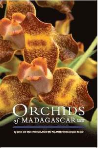 bokomslag Orchids of Madagascar