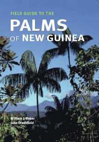 bokomslag Field Guide to the Palms of New Guinea