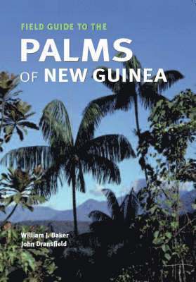 bokomslag Field Guide to the Palms of New Guinea