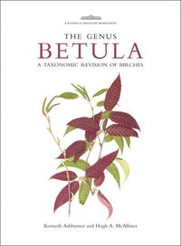 bokomslag Botanical Magazine Monograph: The Genus Betula