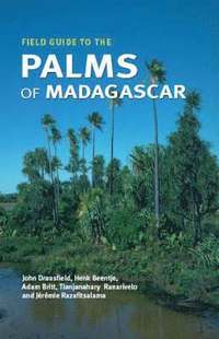 bokomslag Field Guide to the Palms of Madagascar