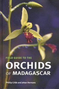 bokomslag Field Guide to the Orchids of Madagascar