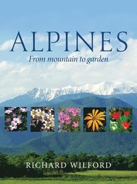 bokomslag Alpines, from Mountain to Garden